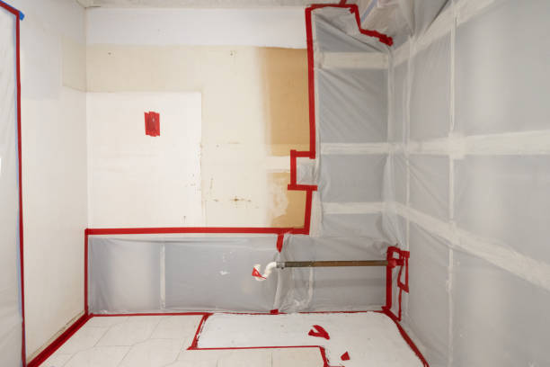  Rochester, NH Mold Removal Pros