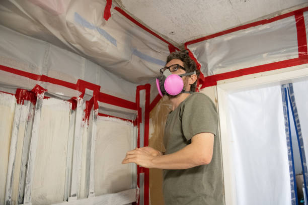 Best Airborne Mold Testing  in Rochester, NH