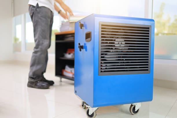 Rochester, NH Mold Removal Company
