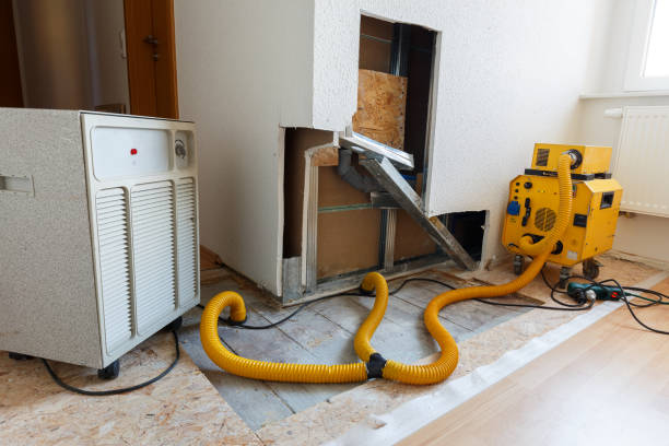 Best Forensic Mold Investigation  in Rochester, NH
