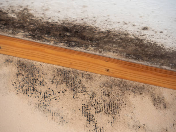 Best Indoor Air Quality Assessment  in Rochester, NH