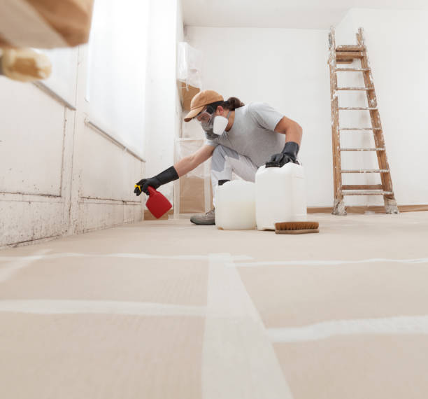 Best Post-Remediation Verification Testing  in Rochester, NH